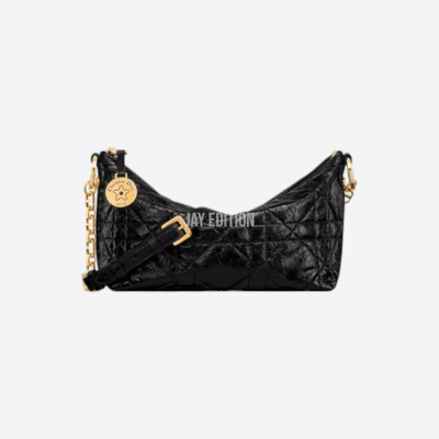 디올 스타 호보 체인백