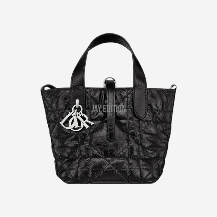 디올 까나쥬 뚜주흐 버티컬 나노 토트백