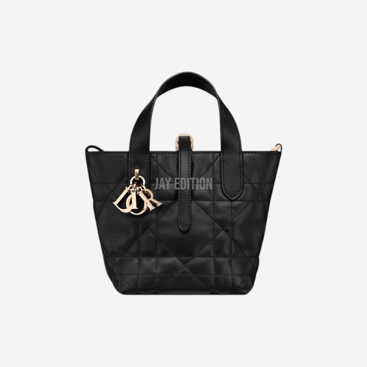 디올 버티컬 뚜주흐백 나노