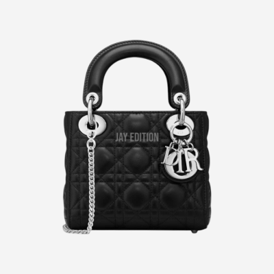 디올 레이디백 미니 은장