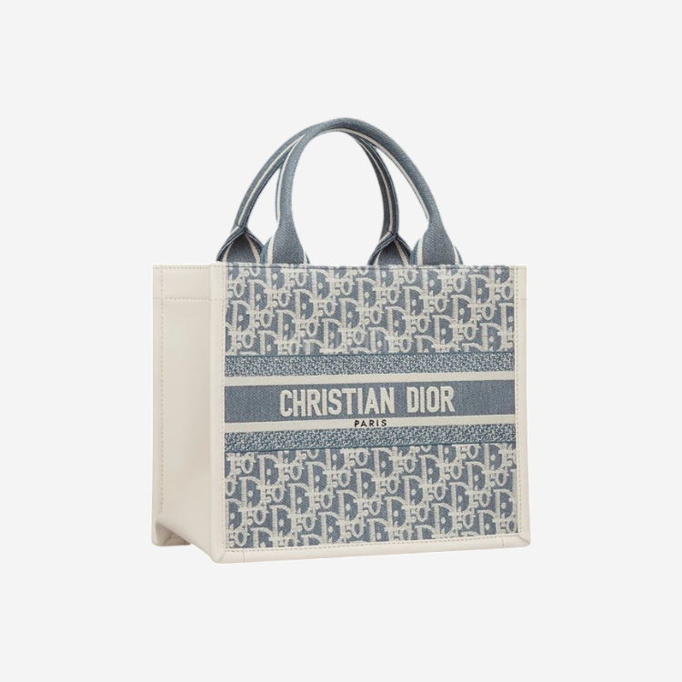 디올 샴브레이 이펙트 북백 미듐