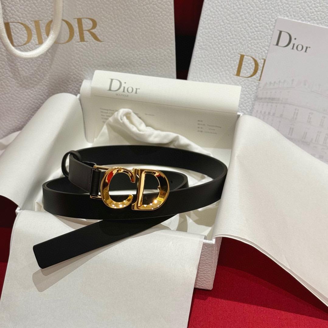디올 벨트