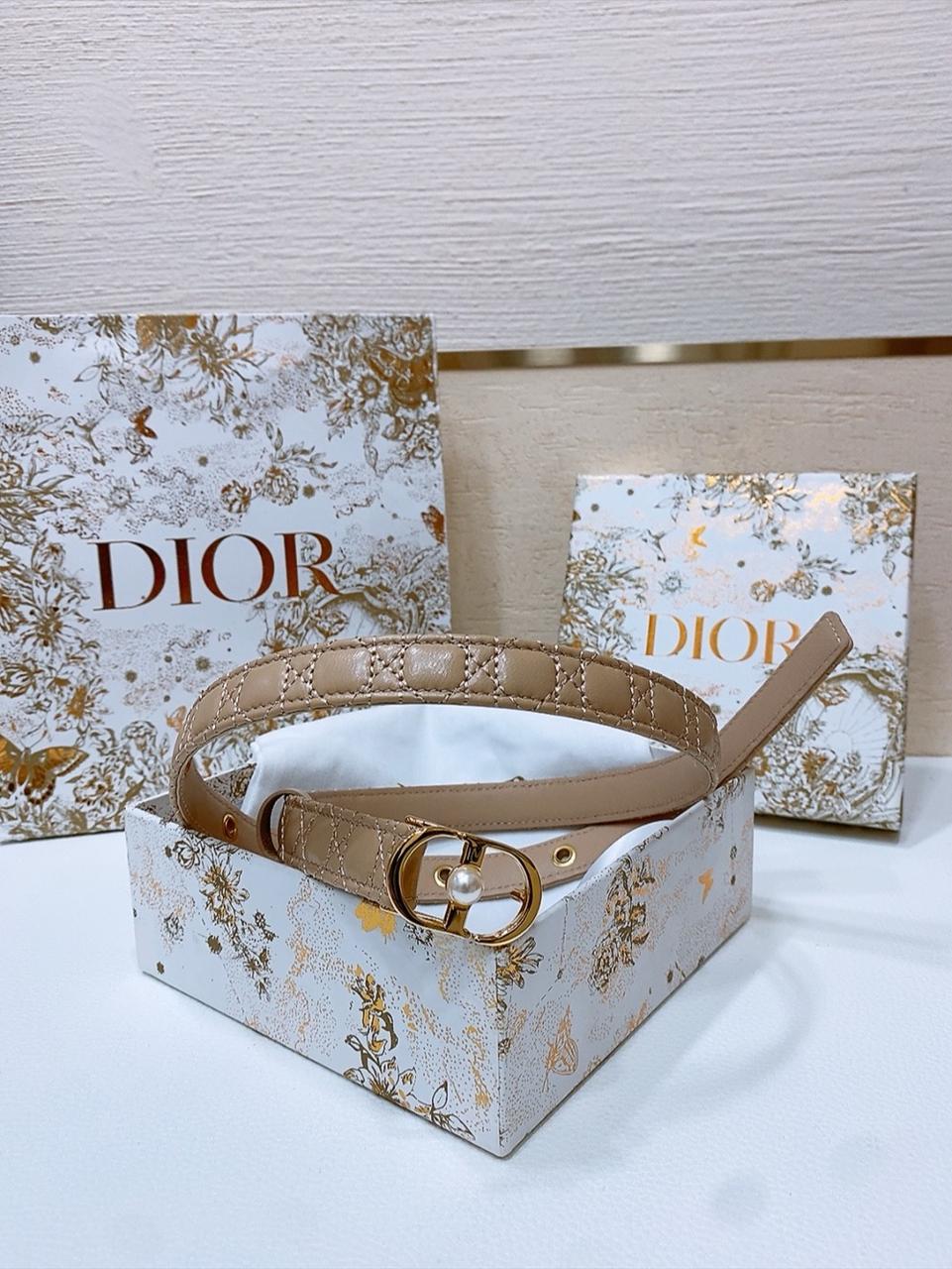 디올 벨트