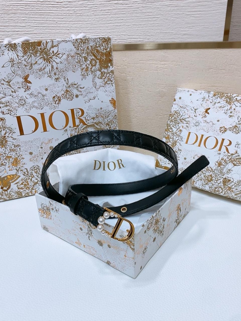 디올 벨트